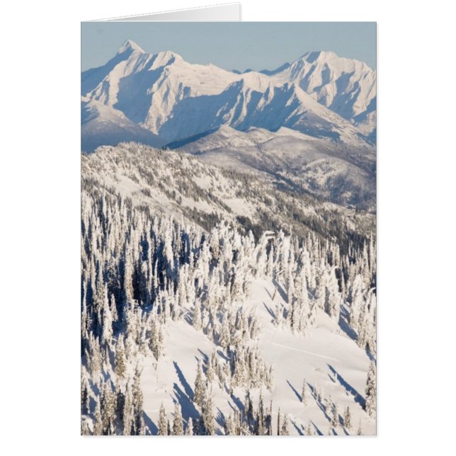 A Scenic View of Snowy Mountains and Trees. (Front)