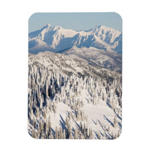 A Scenic View of Snowy Mountains and Trees. Magnet