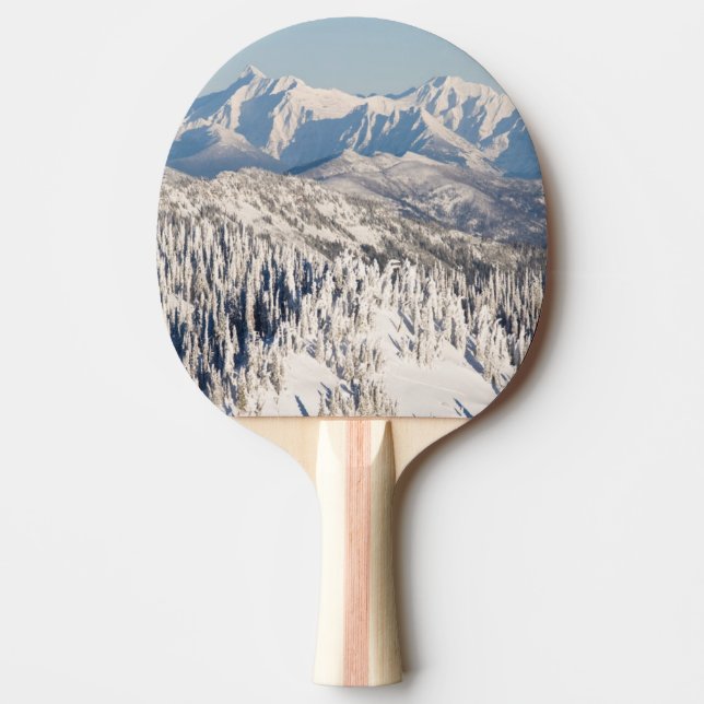 A Scenic View of Snowy Mountains and Trees. Ping Pong Paddle (Front)