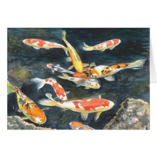 A school of Koi fish in a pond