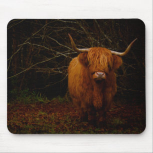 A Scottish Highland Cow Mouse Pad