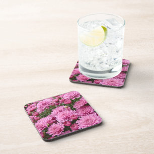 A Sea of Pink Chrysanthemums #2 Coaster