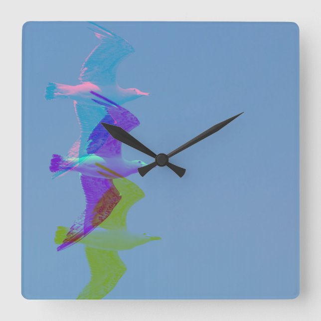 A seagull on wall clock (Front)