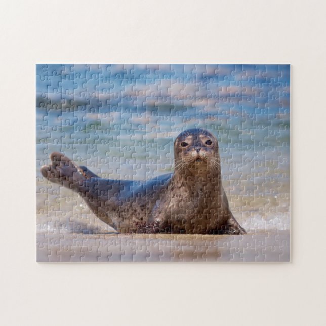 A seal on a beach along the Pacific Coast Jigsaw Puzzle (Horizontal)