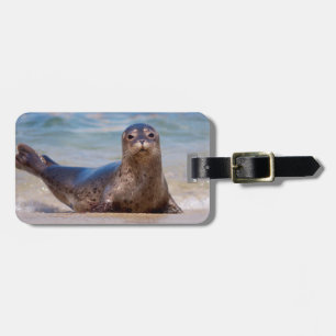 A seal on a beach along the Pacific Coast Luggage Tag