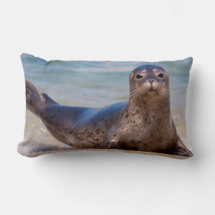 A seal on a beach along the Pacific Coast Lumbar Cushion