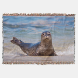A seal on a beach along the Pacific Coast Throw Blanket