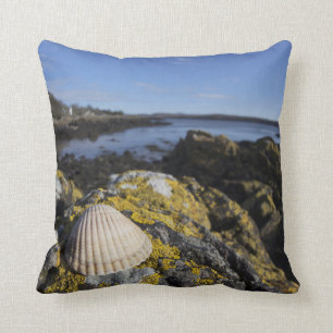A Seashell Sits On A Rock Dumfries, Scotland Cushion