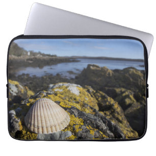 A Seashell Sits On A Rock Dumfries, Scotland Laptop Sleeve