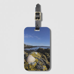 A Seashell Sits On A Rock   Dumfries, Scotland Luggage Tag
