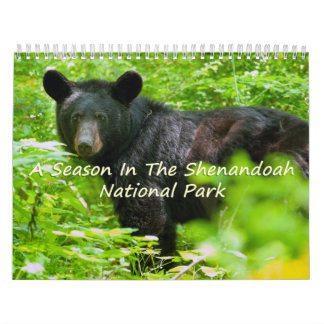 A Season In Shenandoah Nat. Park Vulture Version Calendar