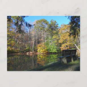 A Seat with an Autumn View in Pennsylvania Postcard