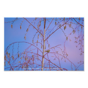 A Secret at Sunset Photo Print