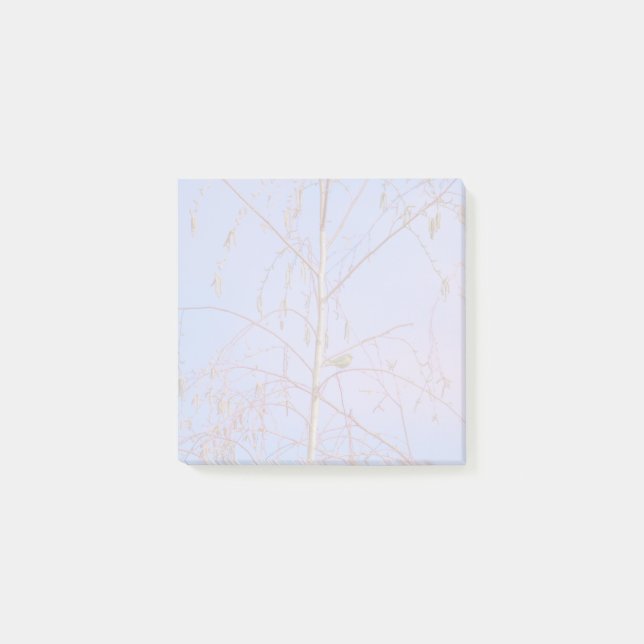 A Secret at Sunset Post-it Notes (Front)