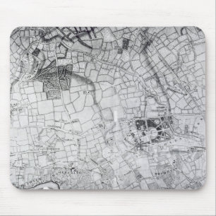 A section of a sheet from the survey mouse pad