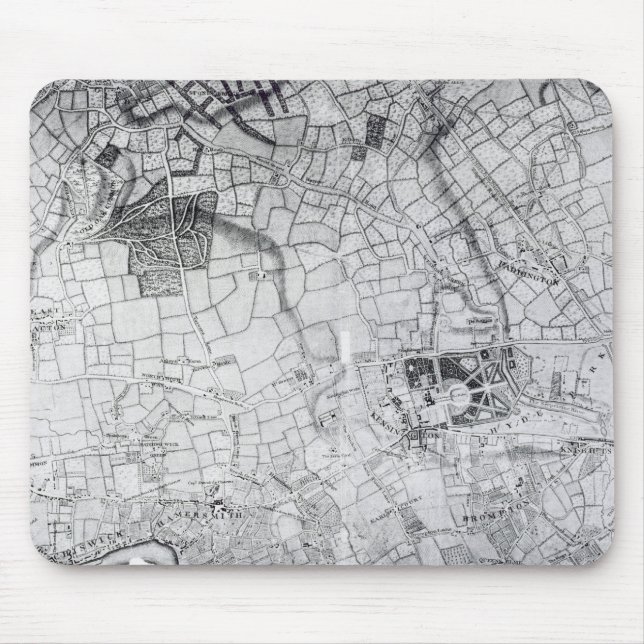 A section of a sheet from the survey mouse pad (Front)