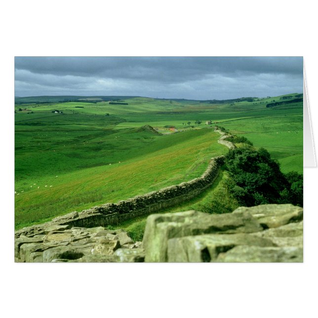A section of Hadrian's Wall, 2nd century AD (stone (Front Horizontal)