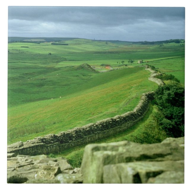 A section of Hadrian's Wall, 2nd century AD (stone Ceramic Tile (Front)