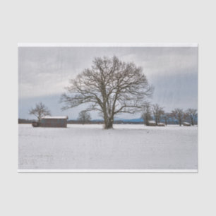 A Sentinel Tree Silently Protecting Winter Barns Tissue Paper
