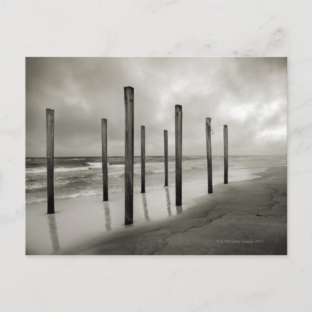 A sepia toned shot of old beach posts postcard (Front)
