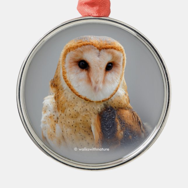 A Serene and Beautiful Barn Owl Metal Ornament (Front)