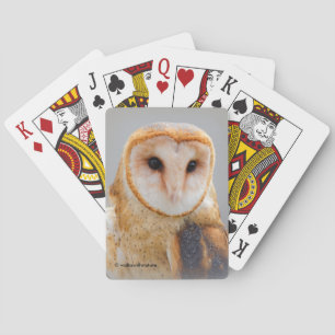 A Serene and Beautiful Barn Owl Playing Cards