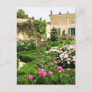 A Serene Formal Rose Garden Postcard