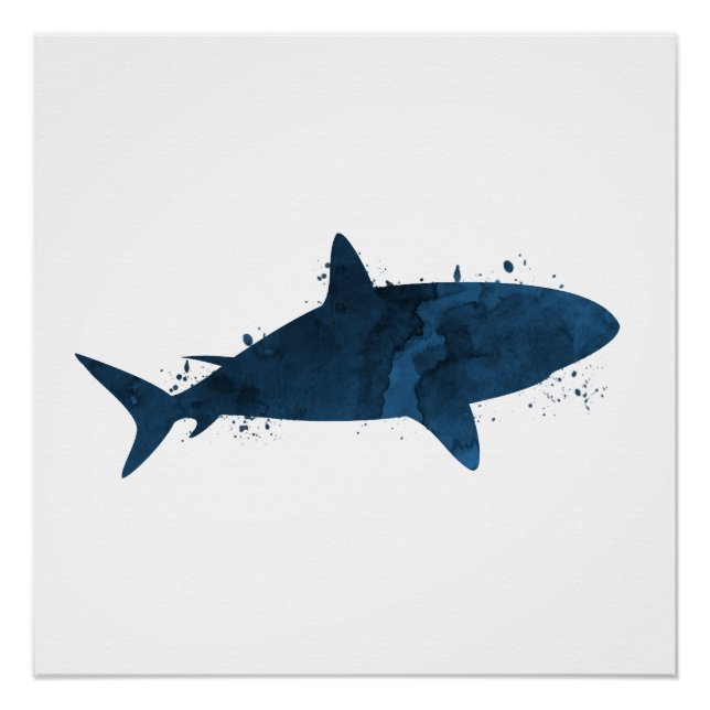 A shark poster (Front)