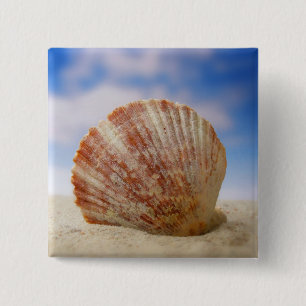 A Shell Propped In The Sand 15 Cm Square Badge