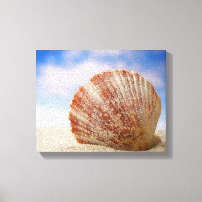 A Shell Propped In The Sand Canvas Print (Front)