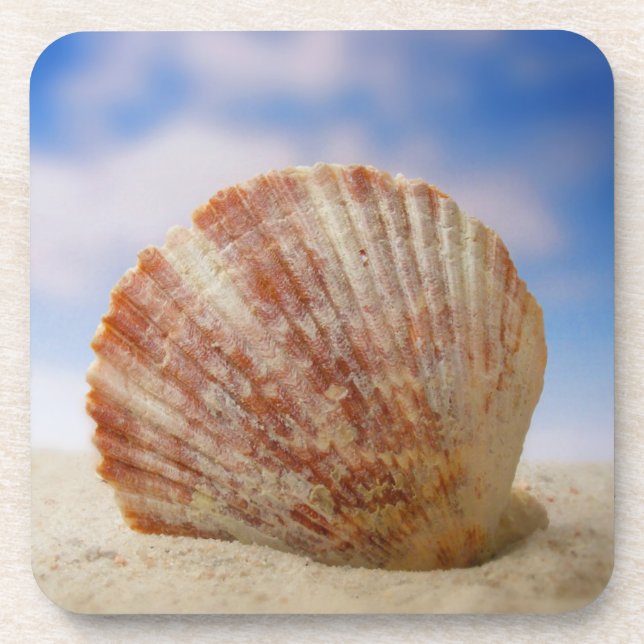 A Shell Propped In The Sand Coaster (Front)