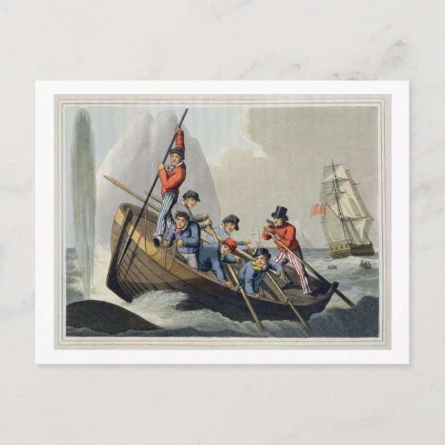 A Ship's Boat Attacking a Whale, engraved by Matth Postcard (Front)