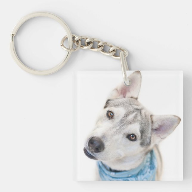 A Siberian Husky Mix Tilts its Head Key Ring (Front)
