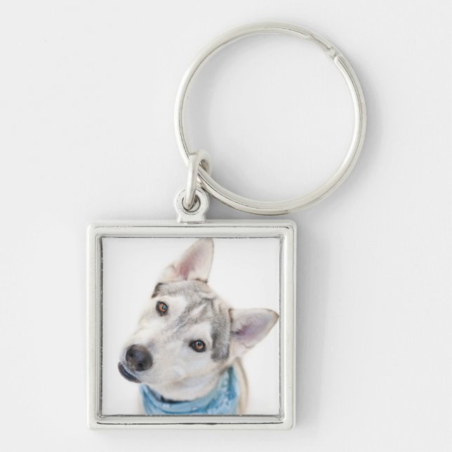 A Siberian Husky Mix Tilts its Head Key Ring (Front)