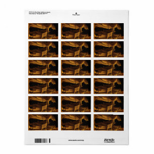 A Sibyl and a Prophet, 1495 by Andrea Mantegna Label