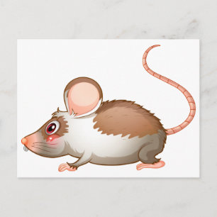A side view of a rat postcard