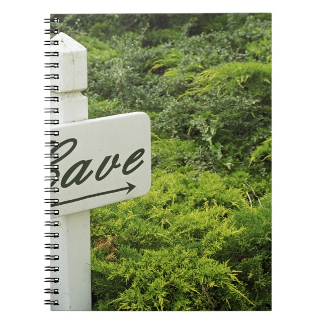 A sign pointing tho the wine cellar (Cave) in Notebook (Front)