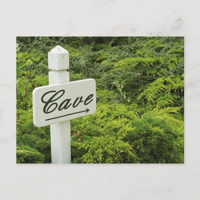 A sign pointing tho the wine cellar (Cave) in Postcard (Front)