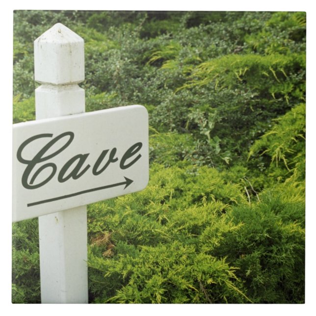 A sign pointing tho the wine cellar (Cave) in Tile (Front)