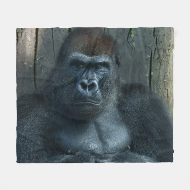 A Silverback in the Making Fleece Blanket (Front (Horizontal))