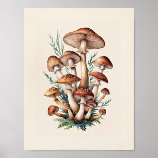 A simple mushroom poster