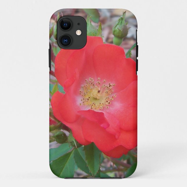A simple salmon coloured open rose Case-Mate iPhone case (Back)