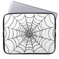 A Simple Spider's Web