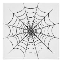 A Simple Spider's Web