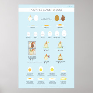 A simple (visual) guide to eggs poster
