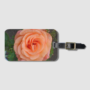 A Single Orange Flower Luggage Tag