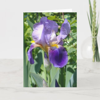 a single perfect iris card