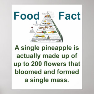 A Single Pineapple Is Actually Made - Food Fact Poster