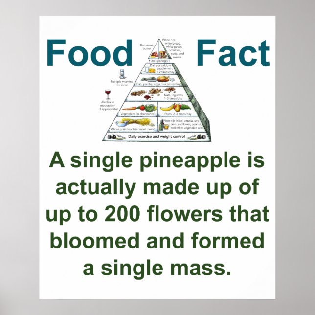 A Single Pineapple Is Actually Made - Food Fact Poster (Front)