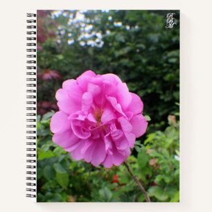 A Single Pink Flower Notebook